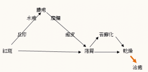 中薬研究会全国大会⑤