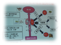 11/15　埼玉中医薬研究会勉強会 『活血薬と健康法』中医学講師　劉文昭先生